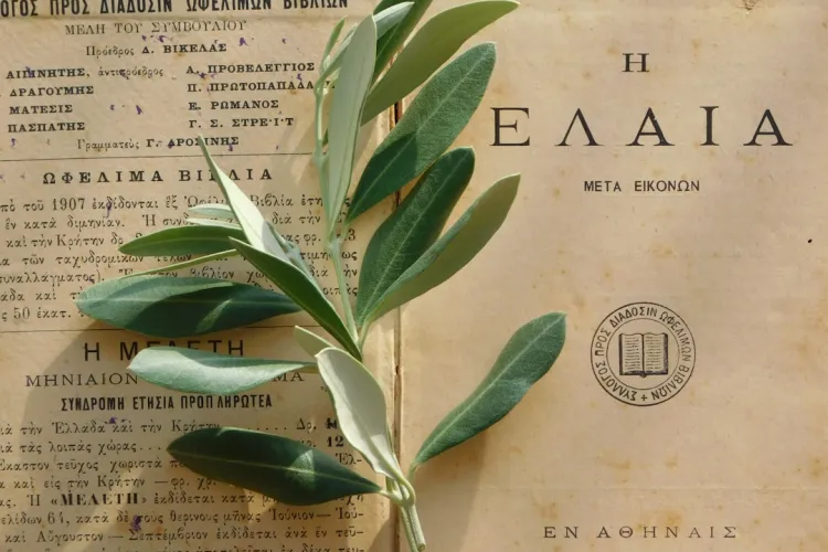 Regano